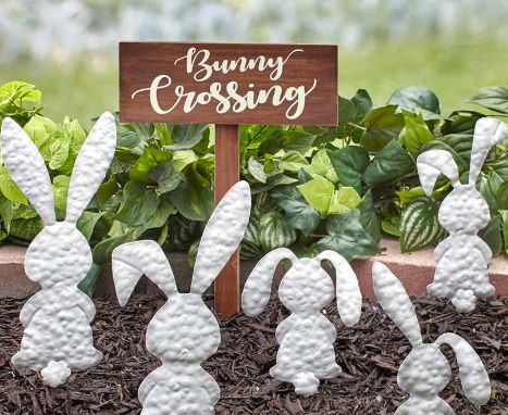 bunny – Cosmic Pathways