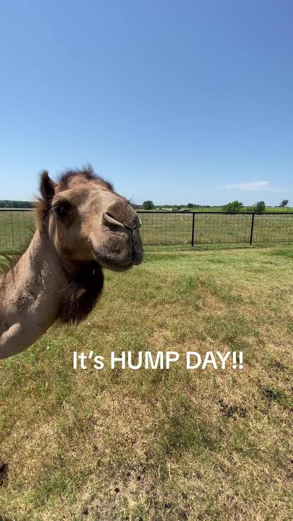 It is Hump Day!! And The Second Half of June Is Clear Sailing…